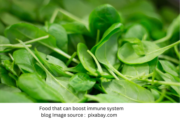 Food that can boost immune system