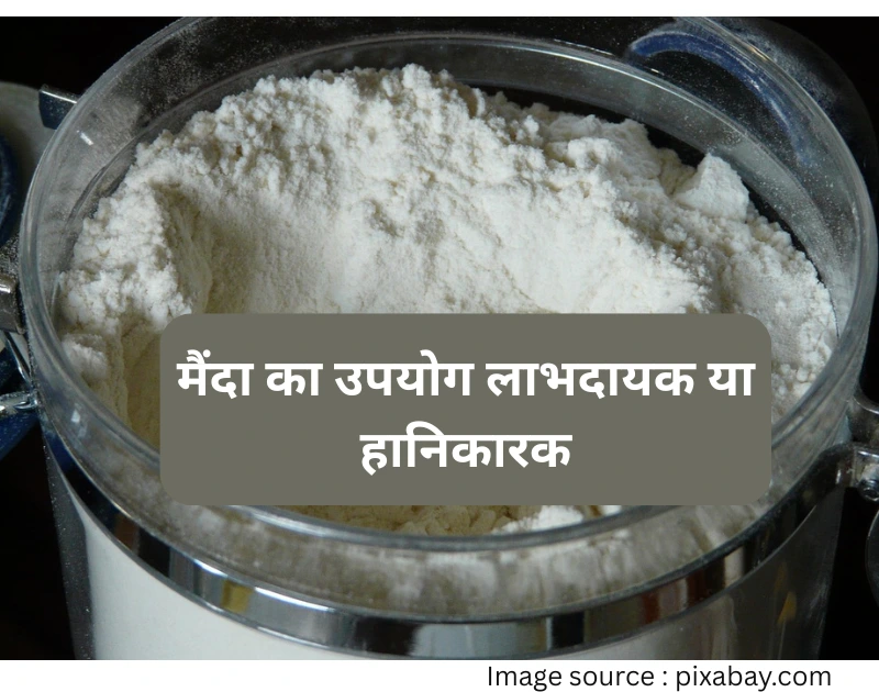 Maida body ke liye labh ya hani