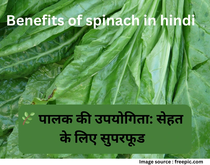 Benefits of spinach in hindi