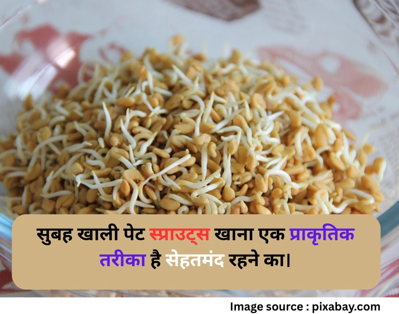 Benefits of sprouts empty stomach