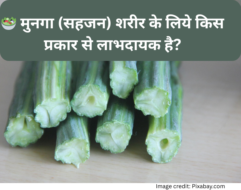 Munaga benefits for health